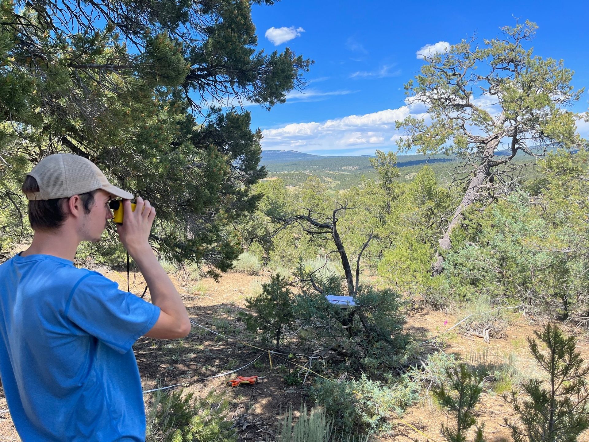 Brian measuring tree heights