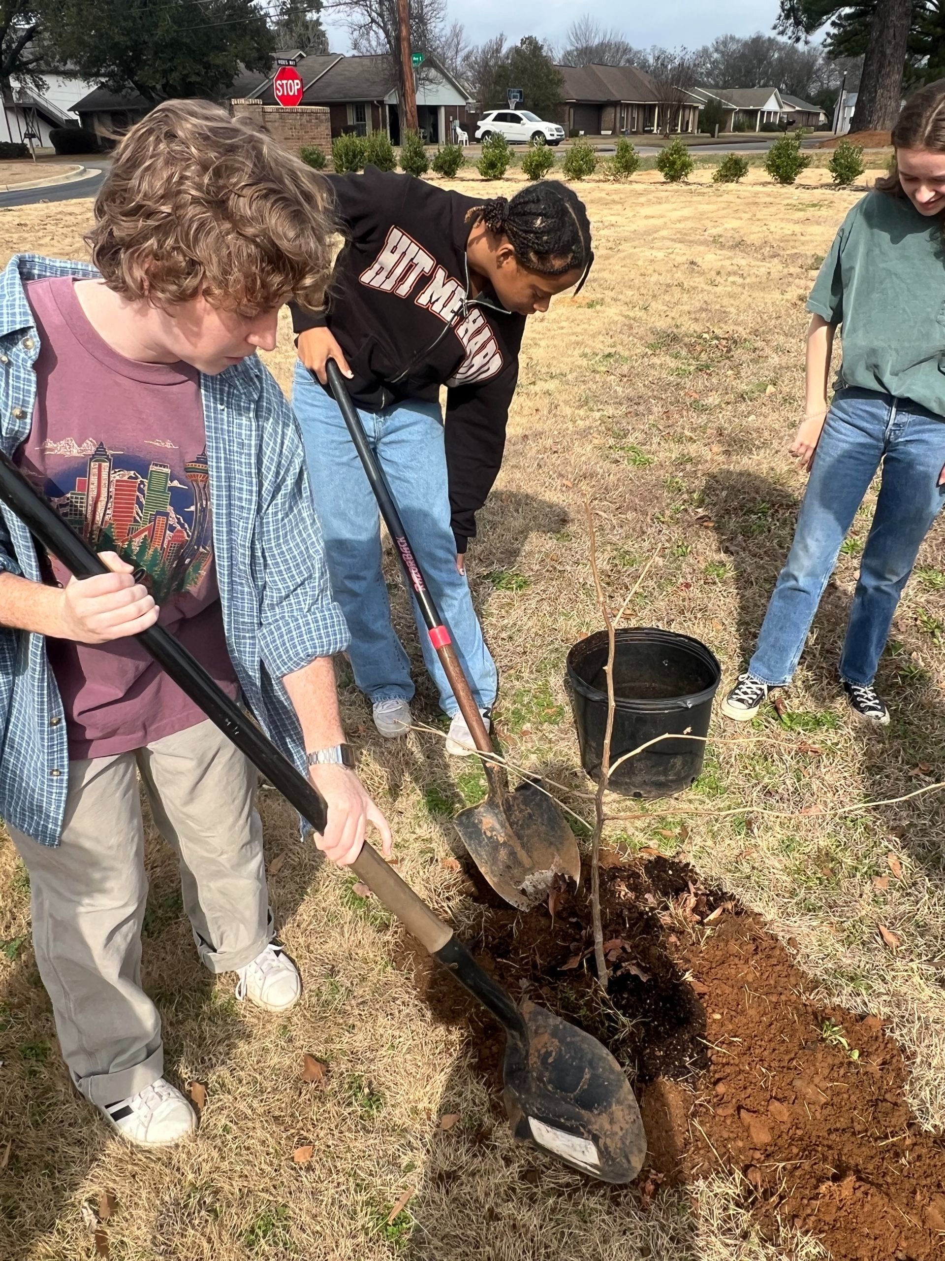 U of AL students planting a tree