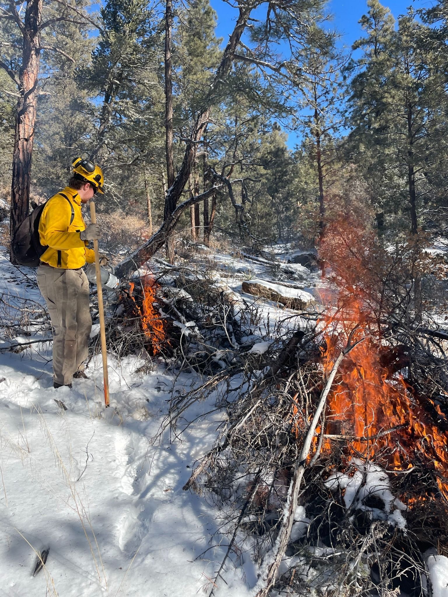 Staff person watches over two pile burns.