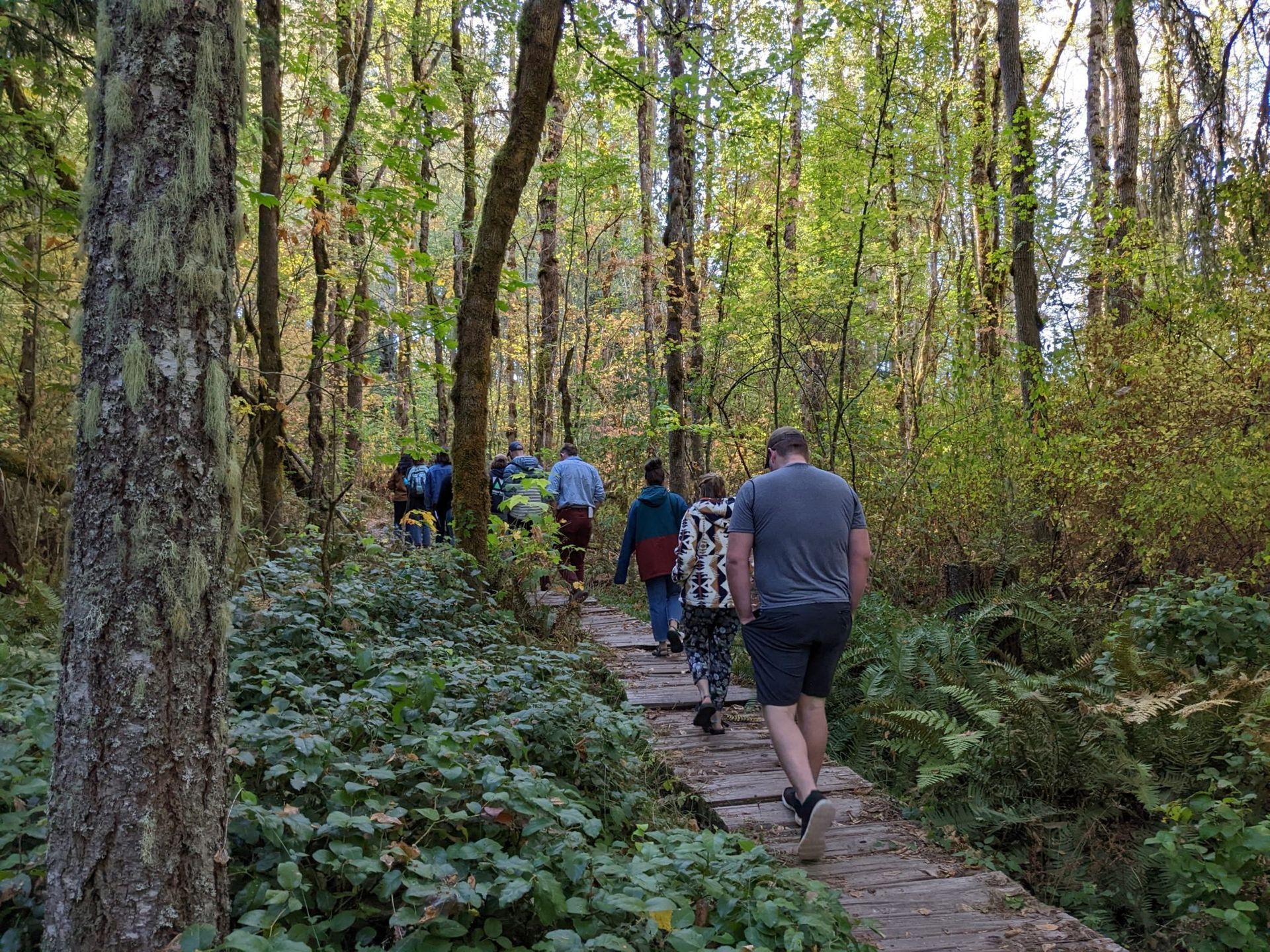 NIFS attendees walking in the woods.