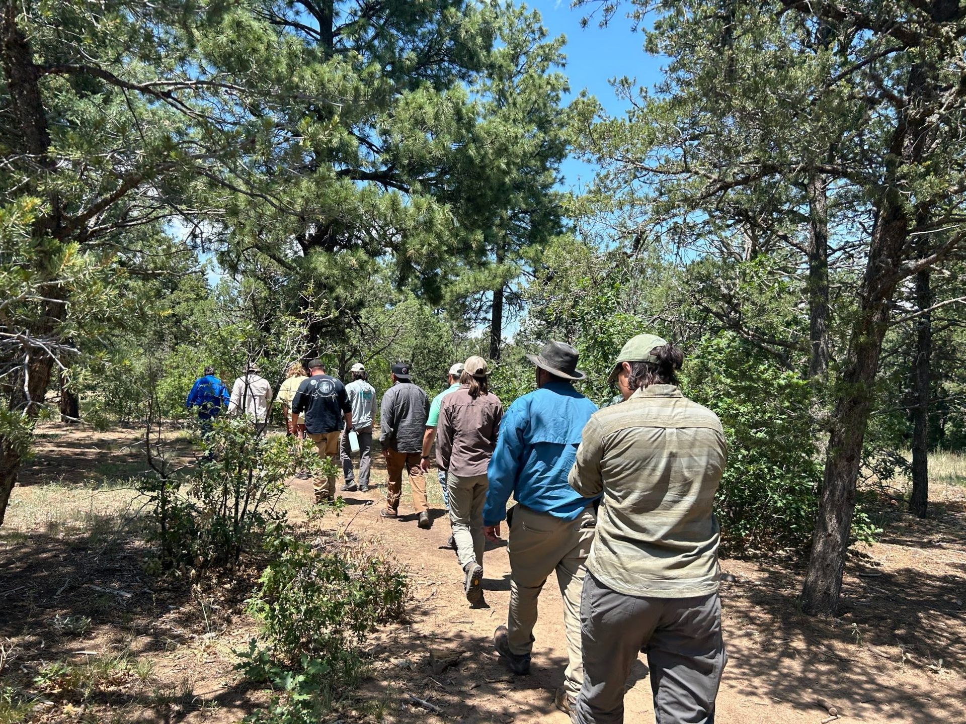 Photo of tour participants walking along a path in the woods.