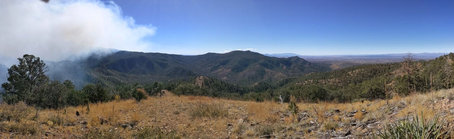 Panoramic showing smoke from burn