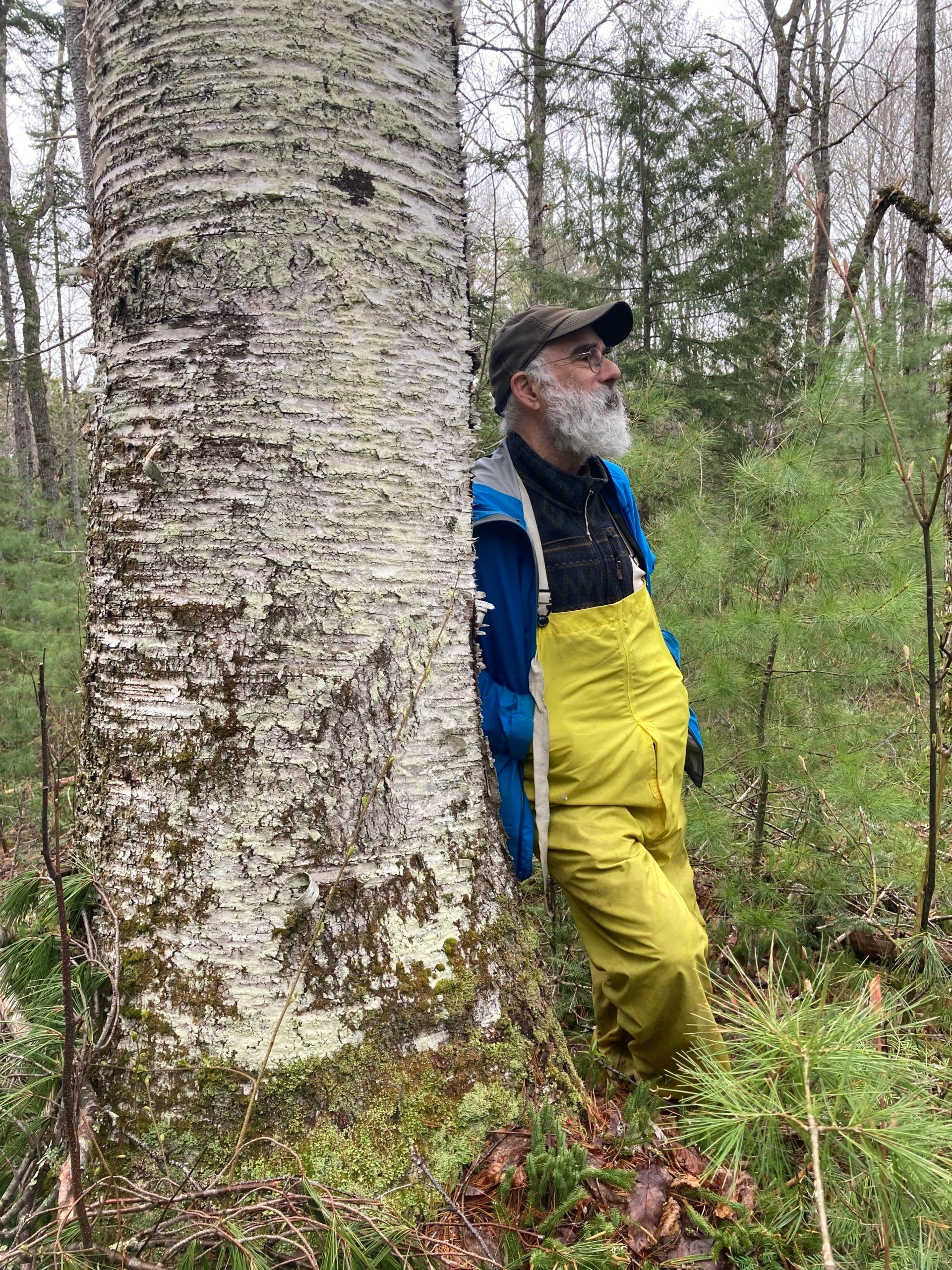 Andy Shultz leaning against a paper birch tree in the reserve area at Baskahegan Company land.