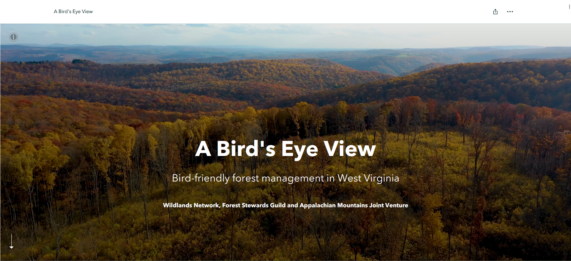 A Bird’s-Eye View StoryMap by Wildlands Network.