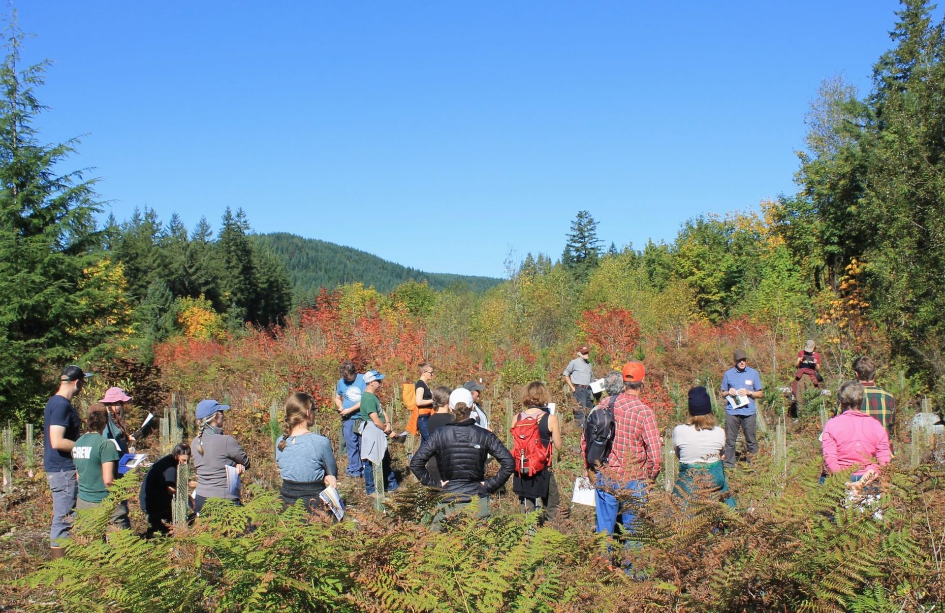 Rolf Gersonde, Ph.D., of Seattle Public Utilities answering questions about the project design of the Adaptive Restoration at Stossel Creek.