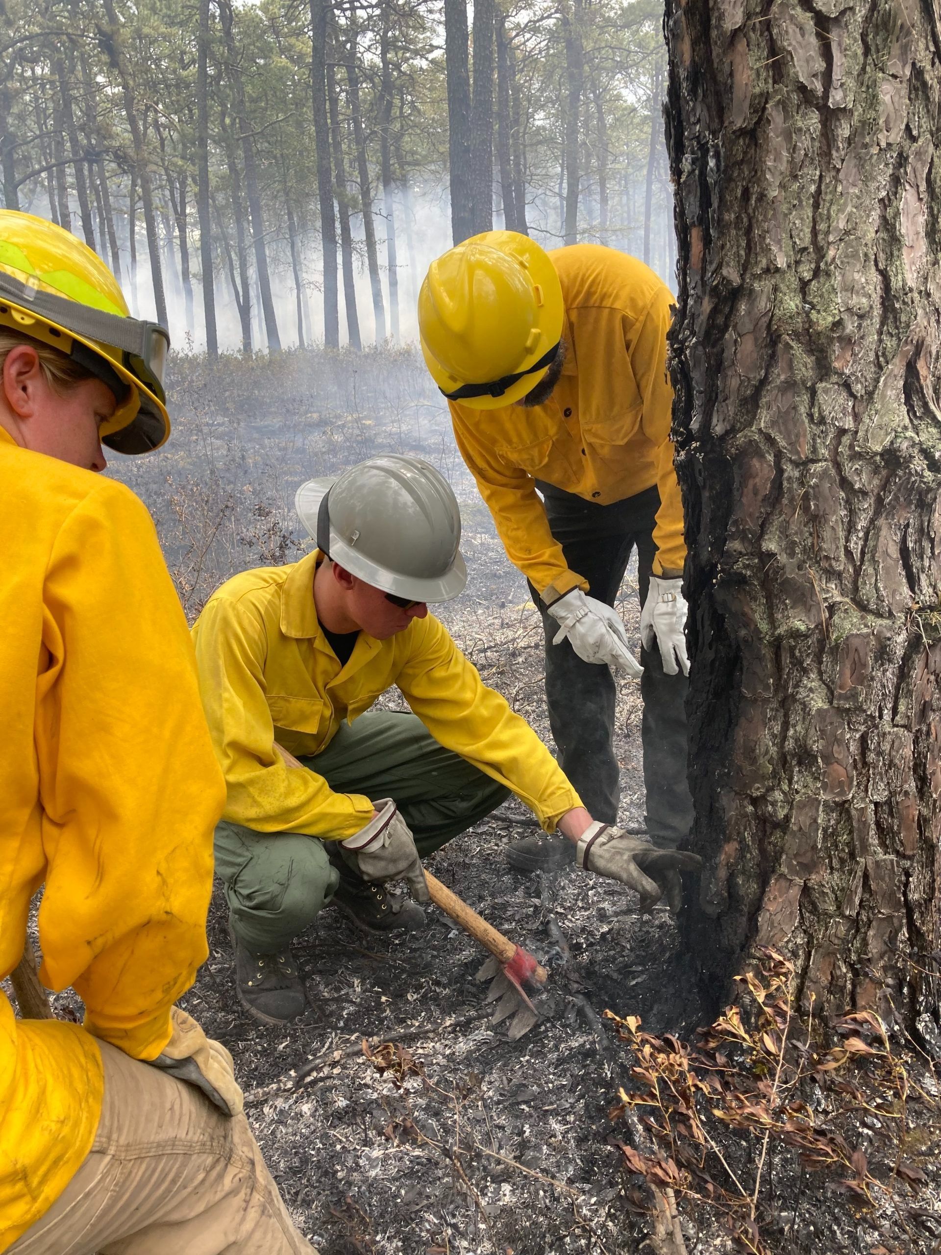 Fire scar inspection
