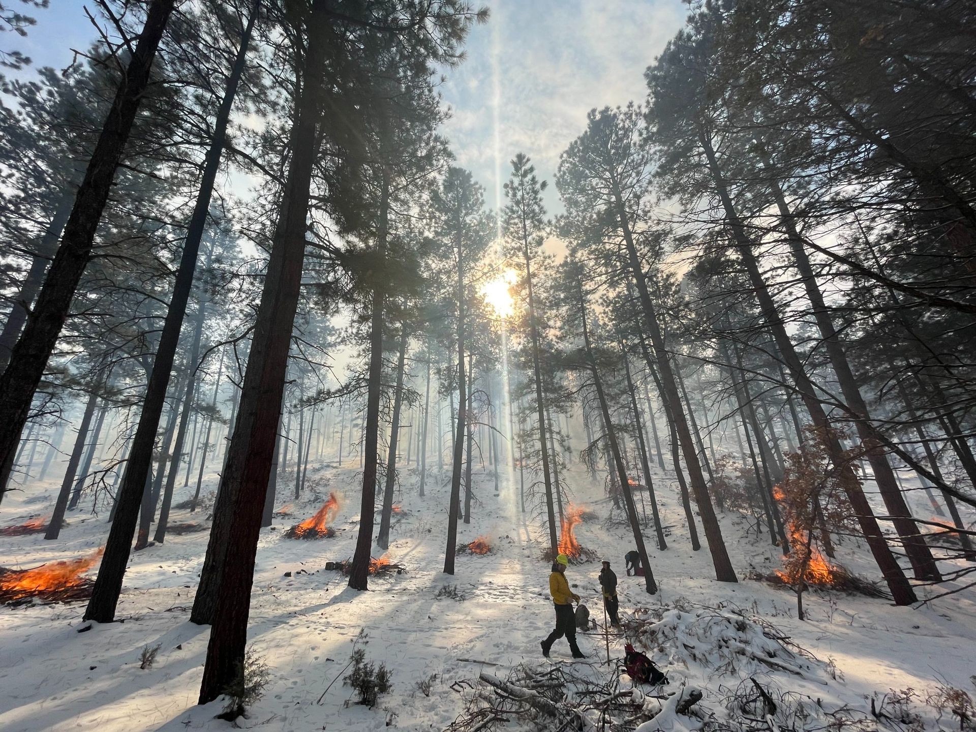 All Hands All Lands pile burns in 2023