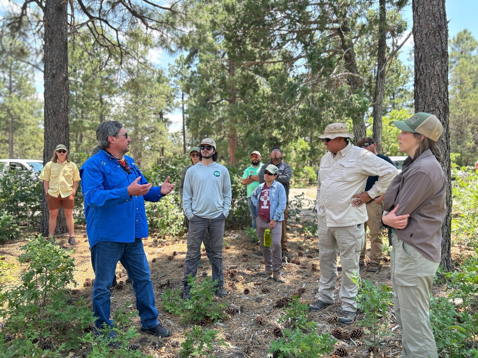 Photo of the District Forester talking with tour members in the woods about mastication work done in Oak Flat Campground.