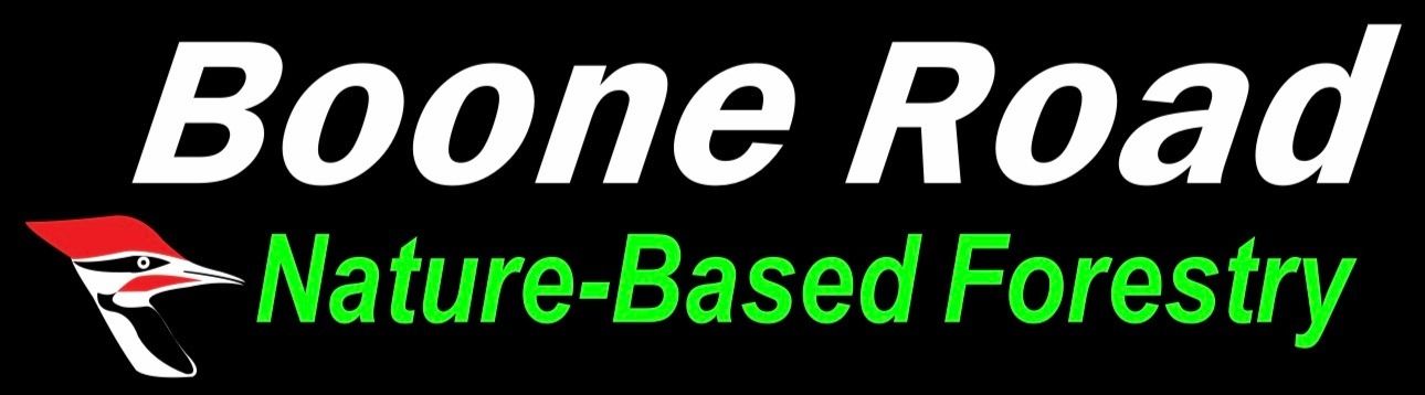 Boone Road Enterprises logo