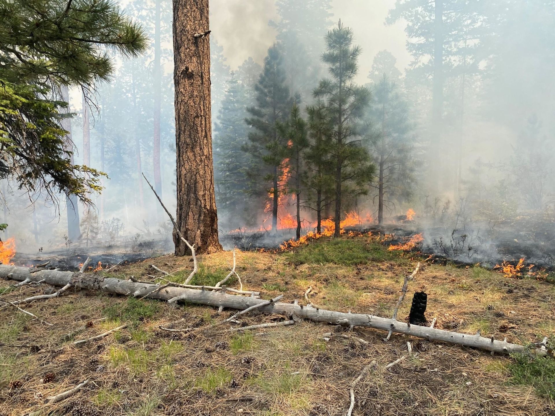 Photo of wildfire at Three Lakes