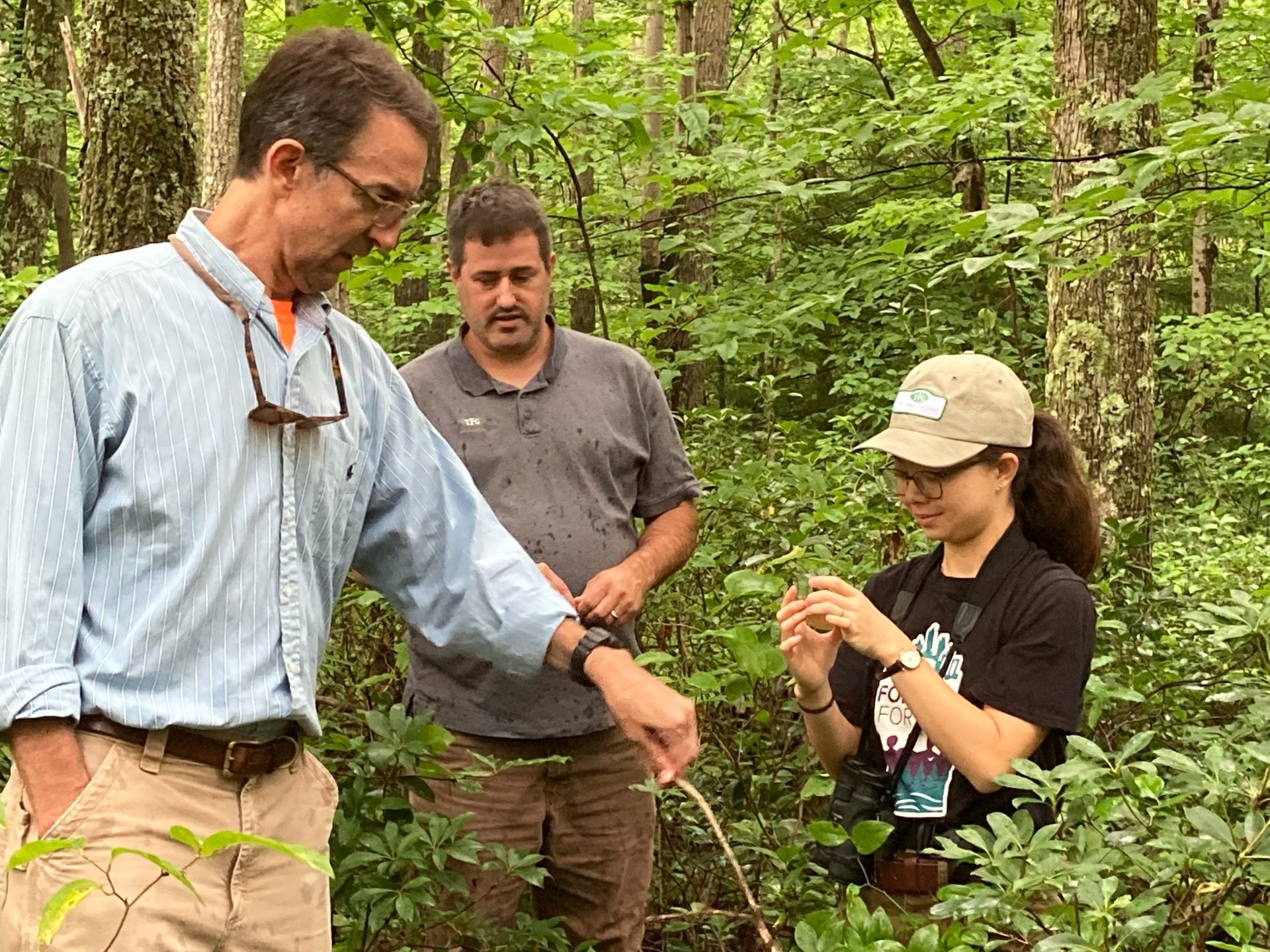 Cooperators in the field