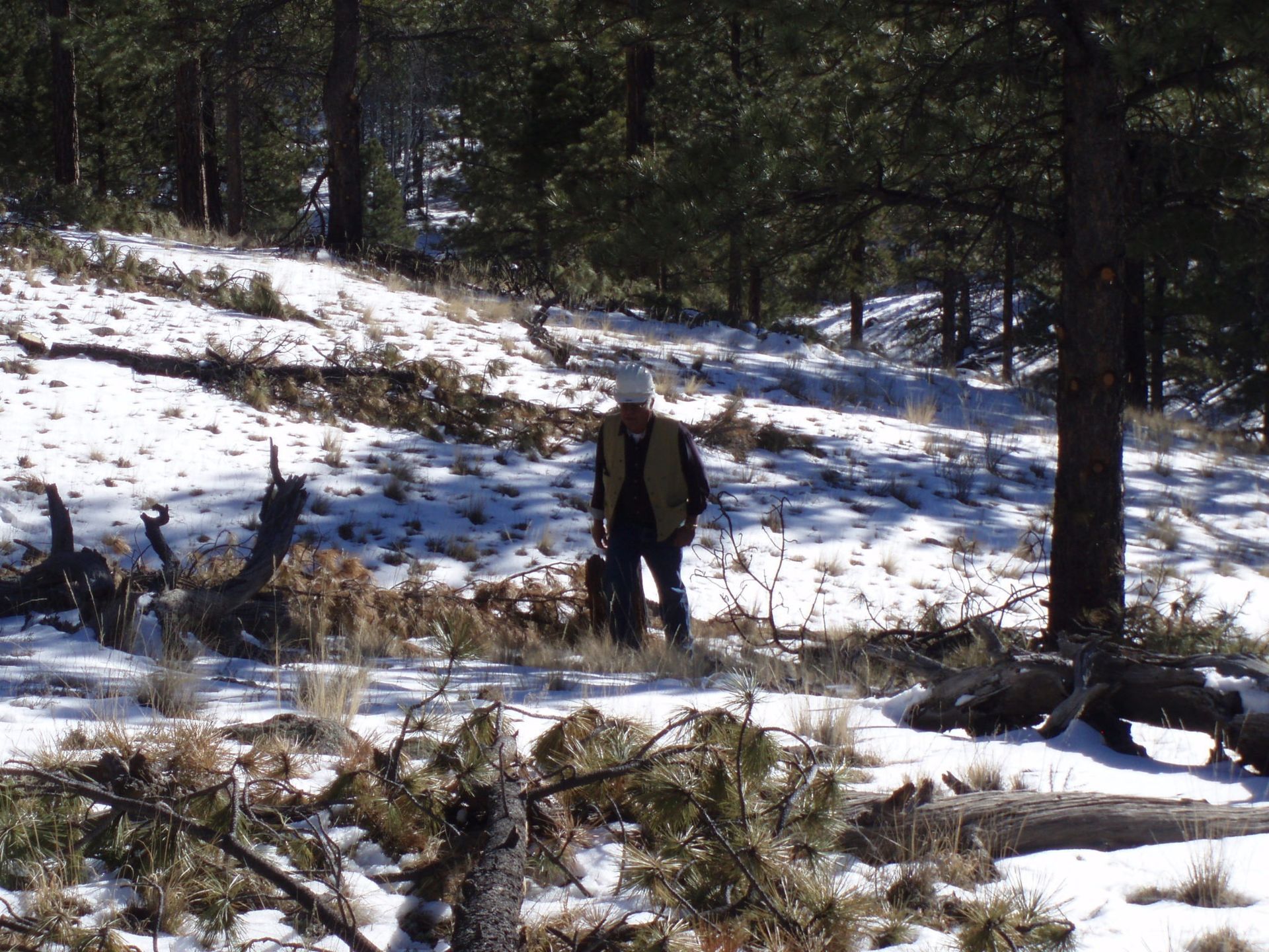 Orlando walking in a wintery forest