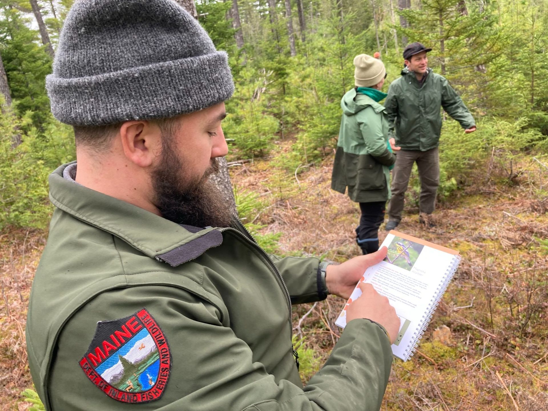 Joe Roy, ME Dept of Inland Fisheries and Wildlife, pointing to the Magnolia Warbler page in the Forestry for Maine Birds guide.
