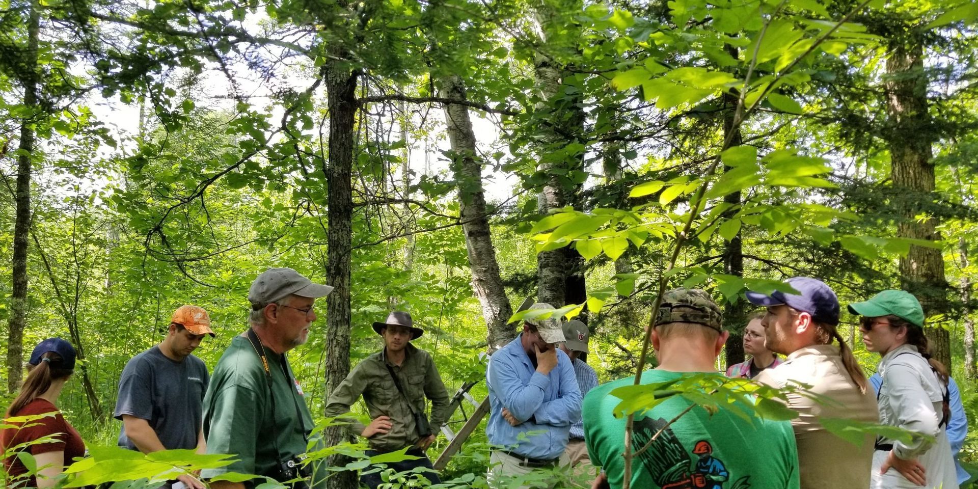 Photo of people in the Cornish and Libby Model Forest