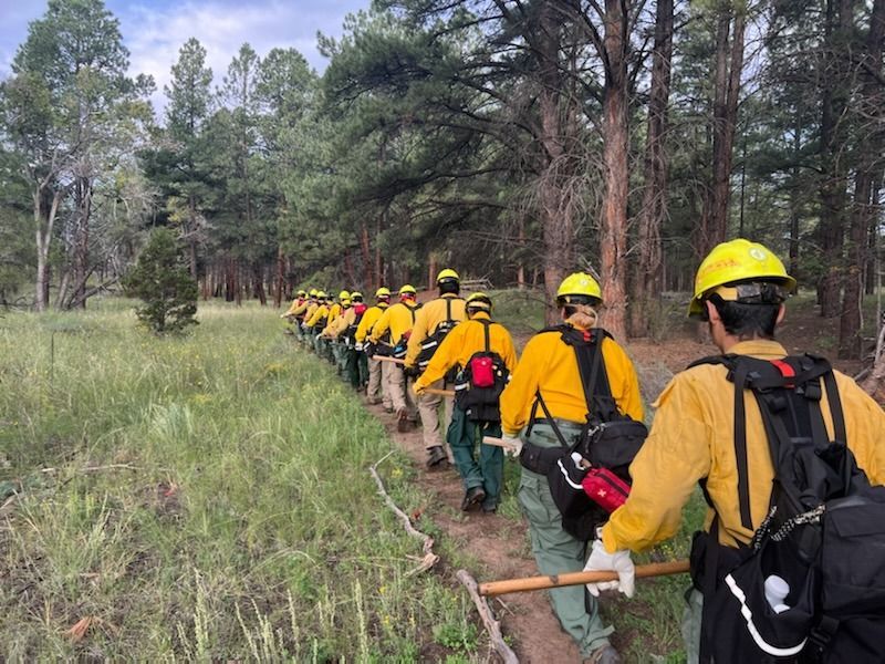 Fall Fire and Fuels Program crew of FSYC walking to work site