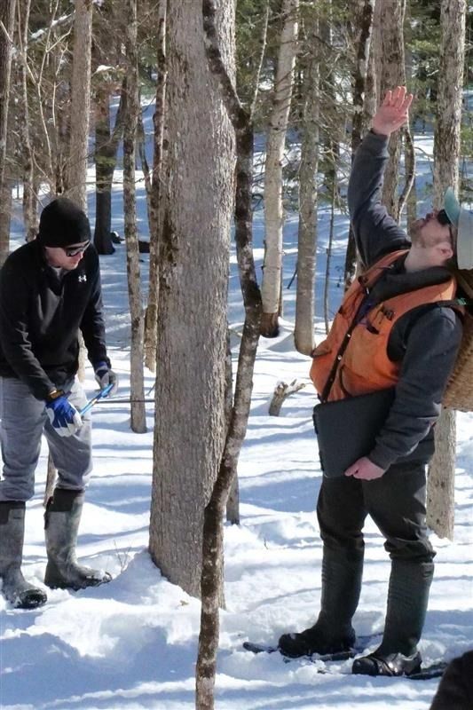 Tyler Everett and Tom Newell demonstrate the traits of basket quality black ash