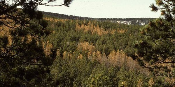 USDA Forest Service - Region 2 - Rocky Mountain Region , USDA Forest Service,