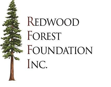 RFFI_logo2