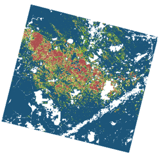 Astrape map of the derecho damage in the Chequamegon-Nicolet National Forest.