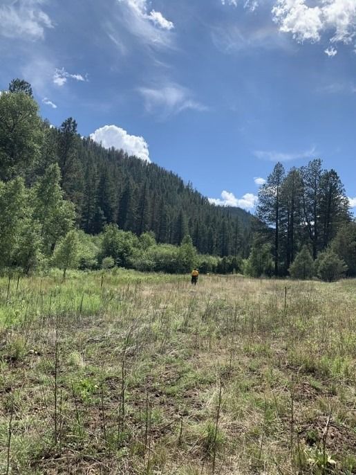Riparian area