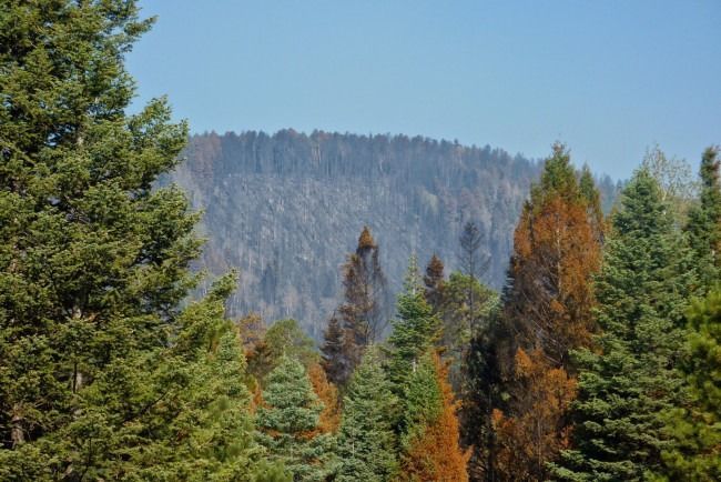 View from the DeMay property