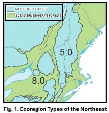 A map of ecoregions types in the Northeast U.S.