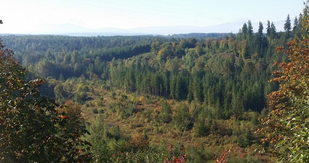Photo of Stossel Creek area