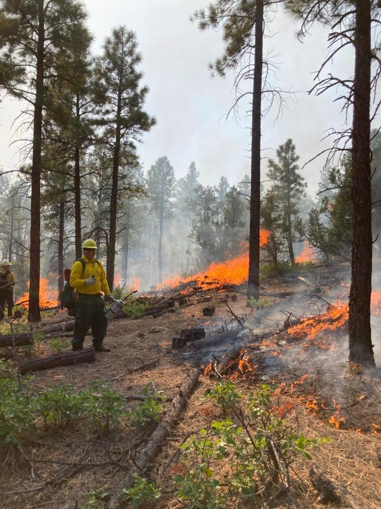 Cottonwood Gulch prescribed fire crews at work in 2023