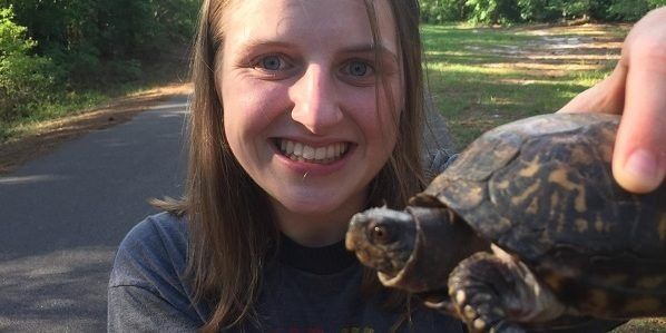 EmilyAnderson_BoxTurtle
