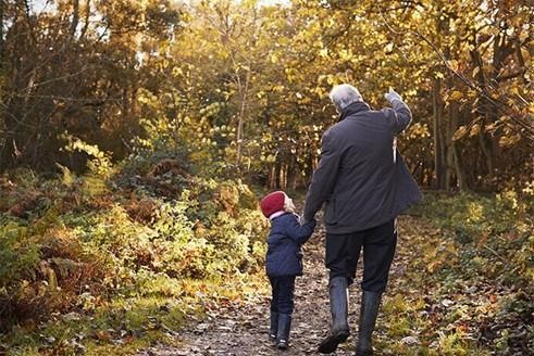 Photo of adult and child walking in the woods