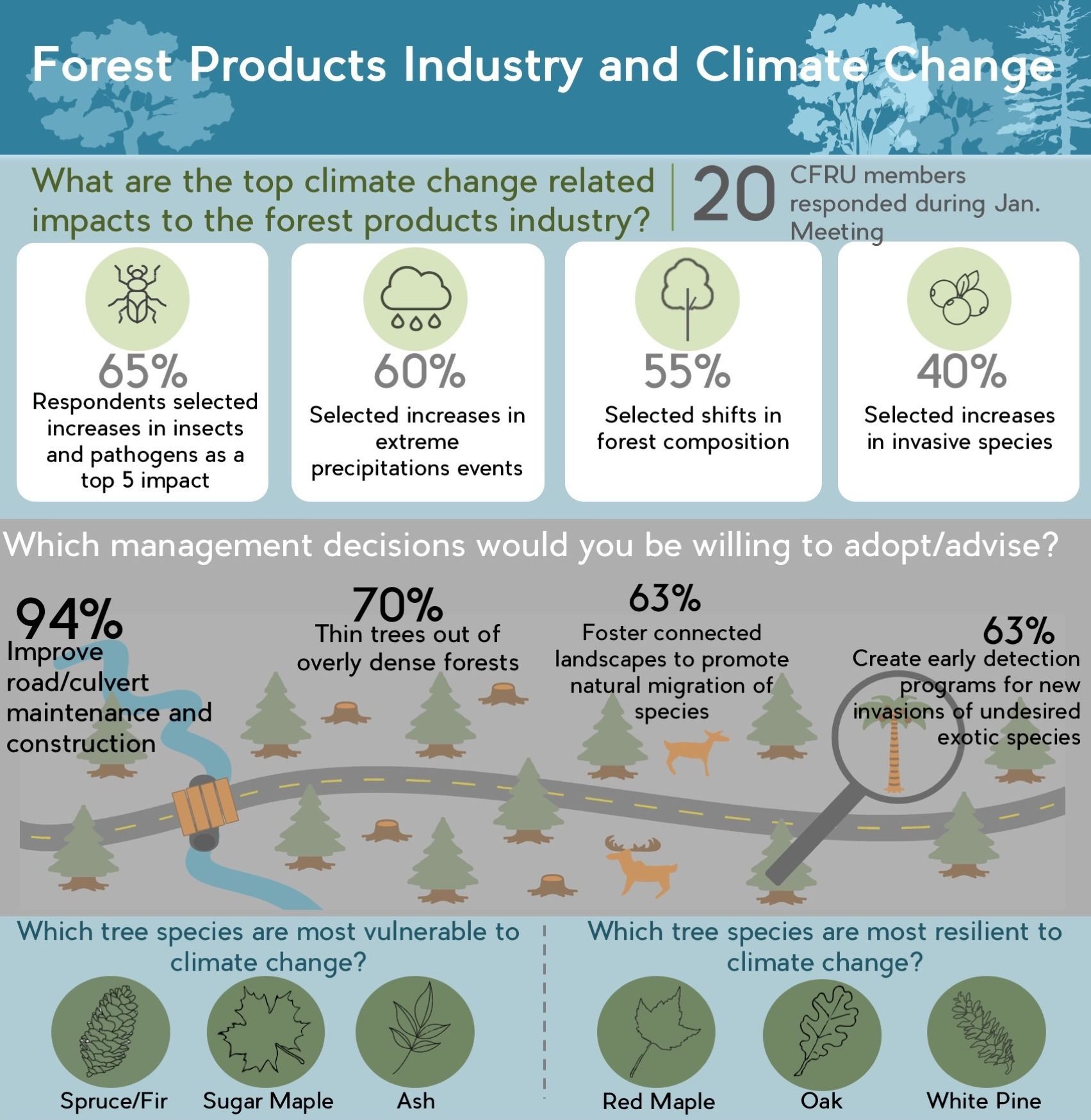 Infographic shared with forestry professionals based on the results of a workshop conducted with stakeholders in Maine.