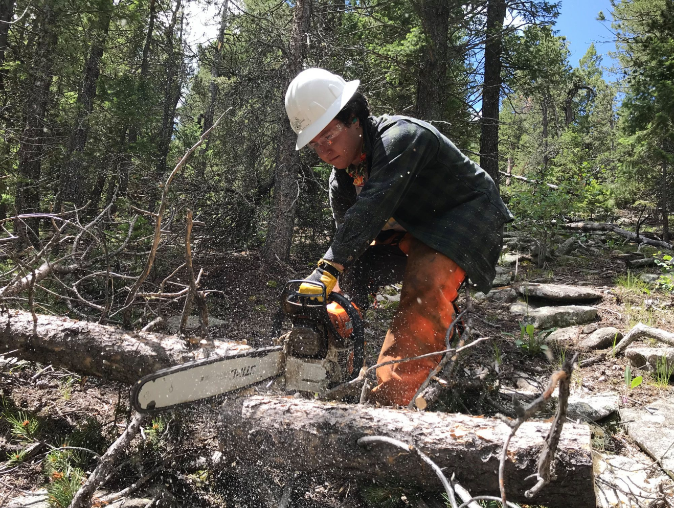 Zoe using chainsaw
