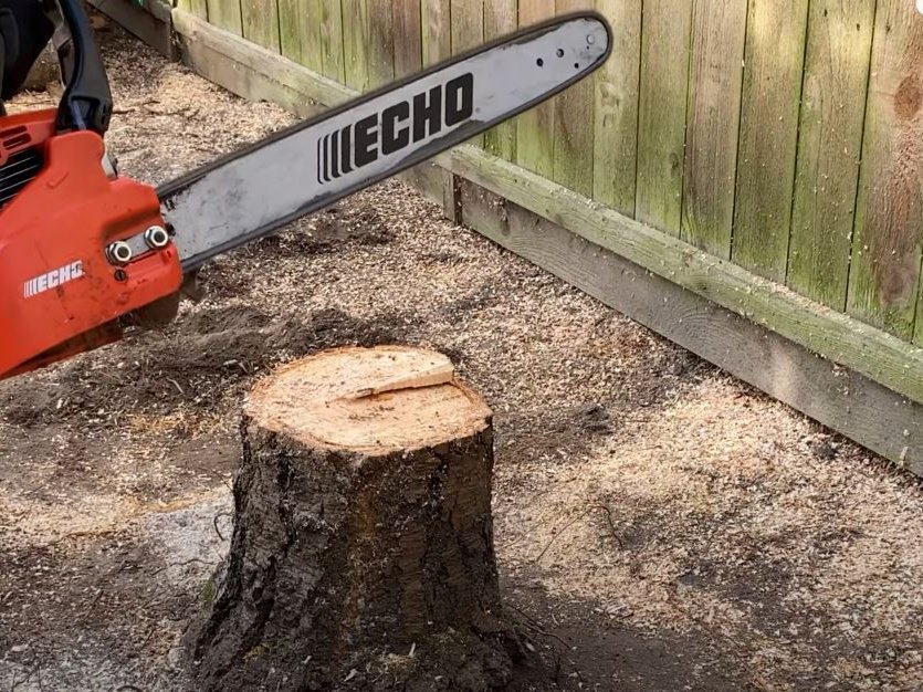 Sydney Stump Removers Stump Grinding and Removal