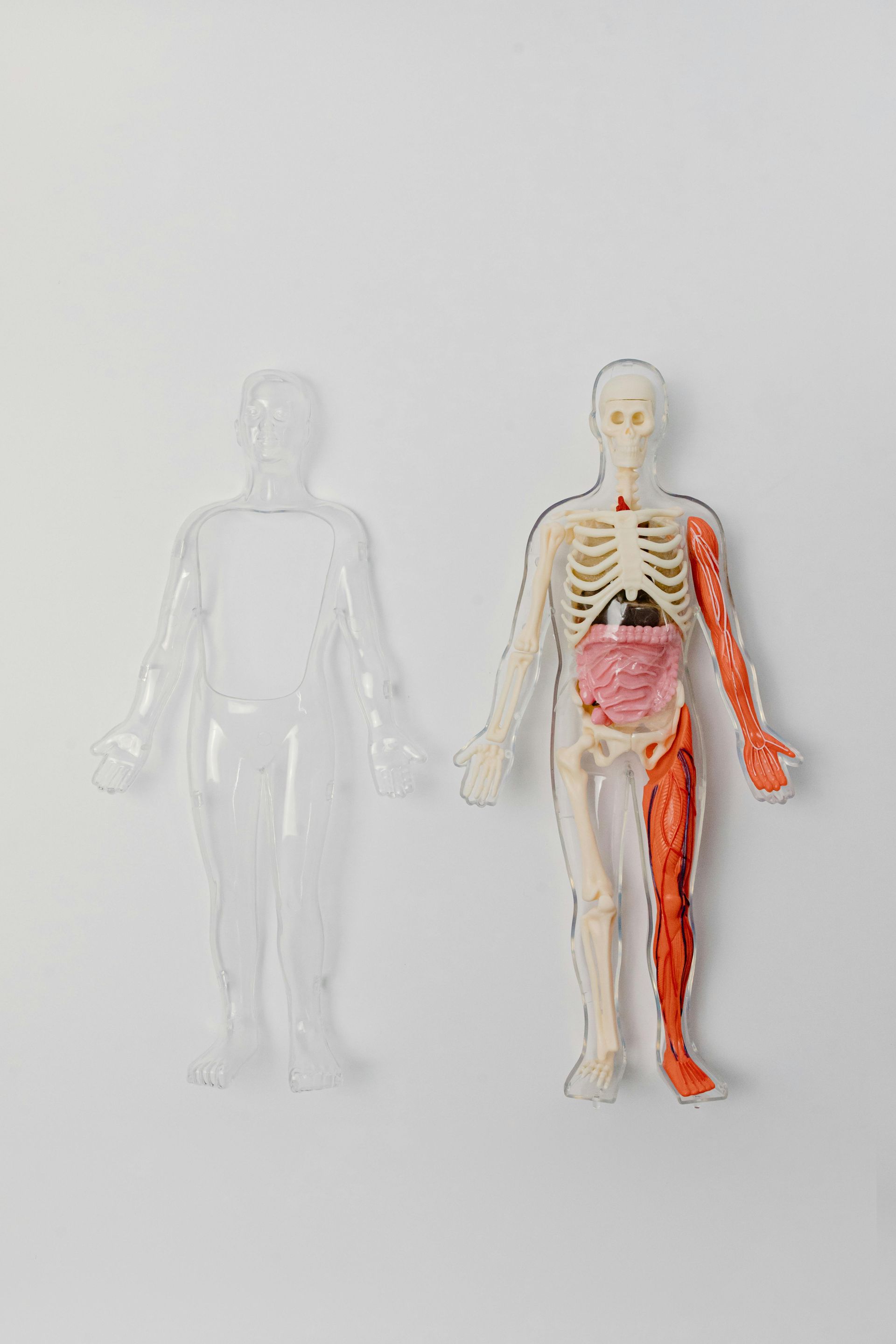 Primary Care (CP-PC)