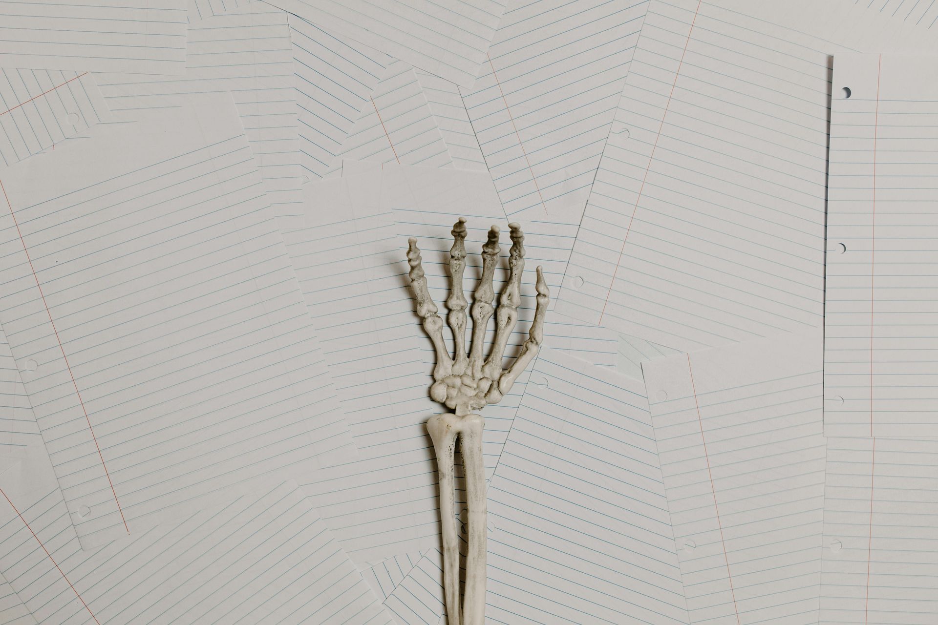 Musculoskeletal Upper Extremity