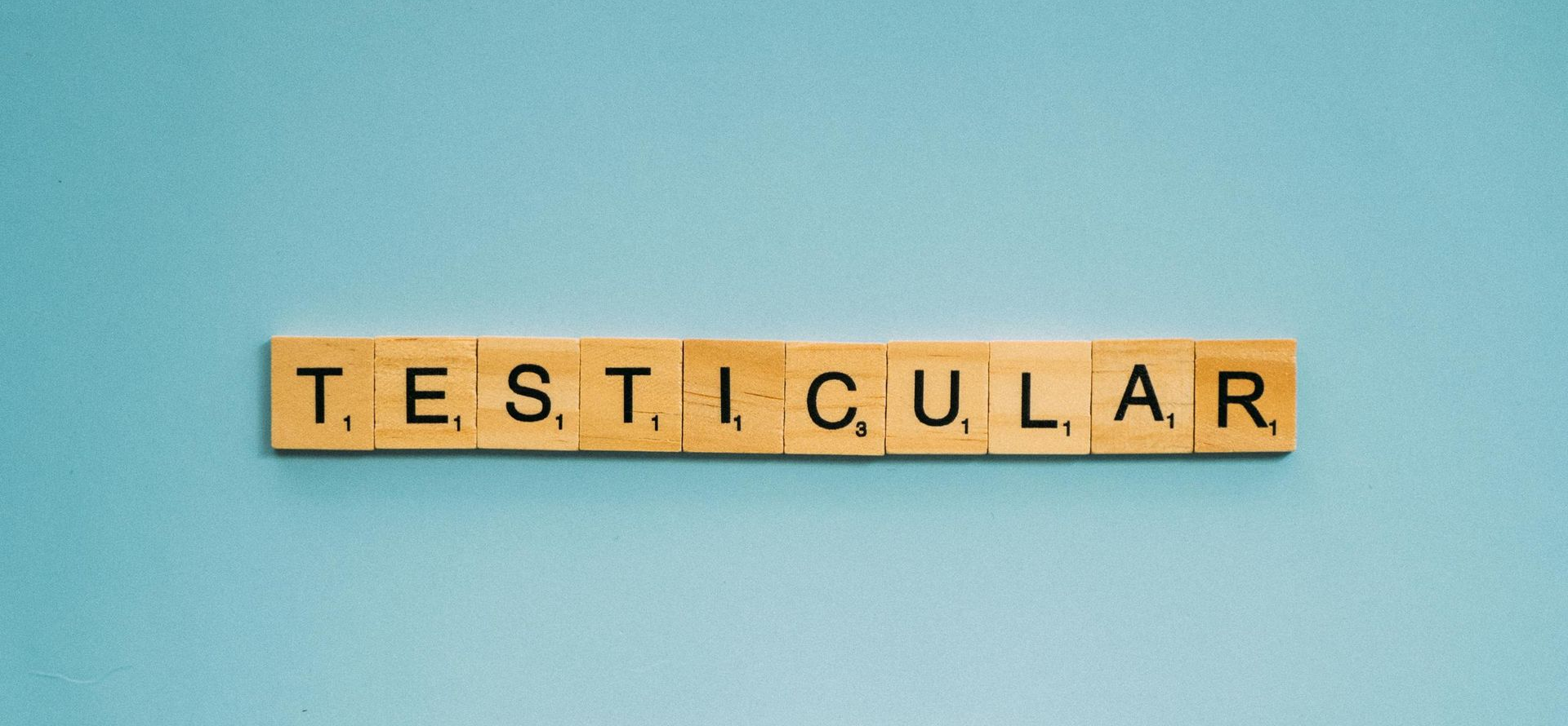 Scrotum Basics