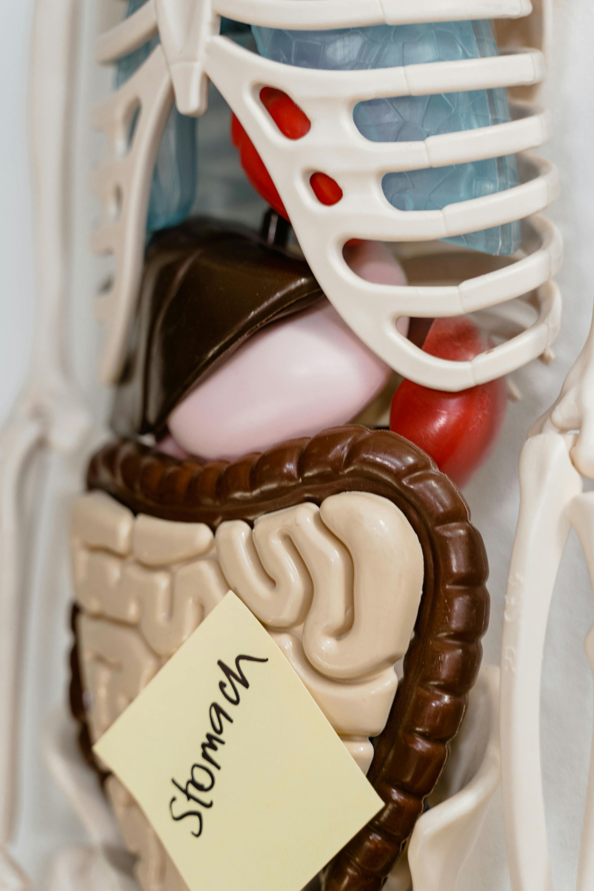 Abdominal Trauma