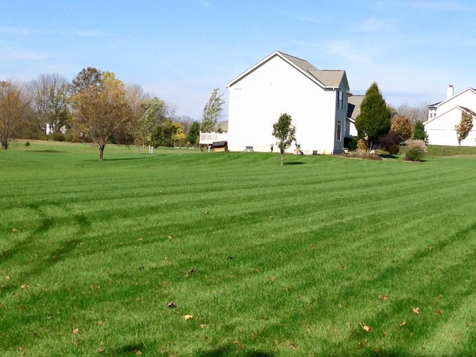 A white house sits in the middle of a lush green field Lush green lawn with striped pattern, white house in background under blue sky.