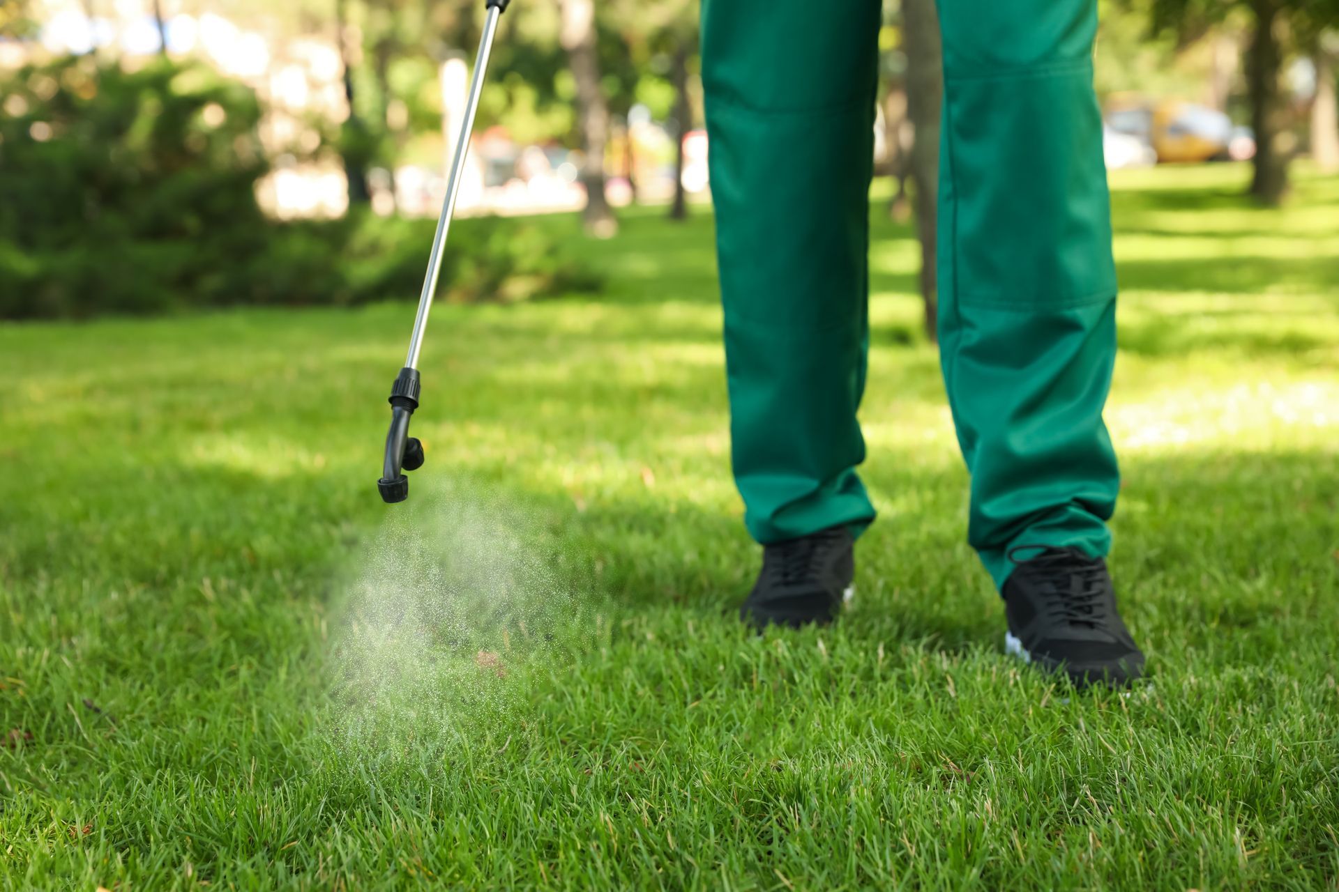 A man is spraying pesticide in the lawn.