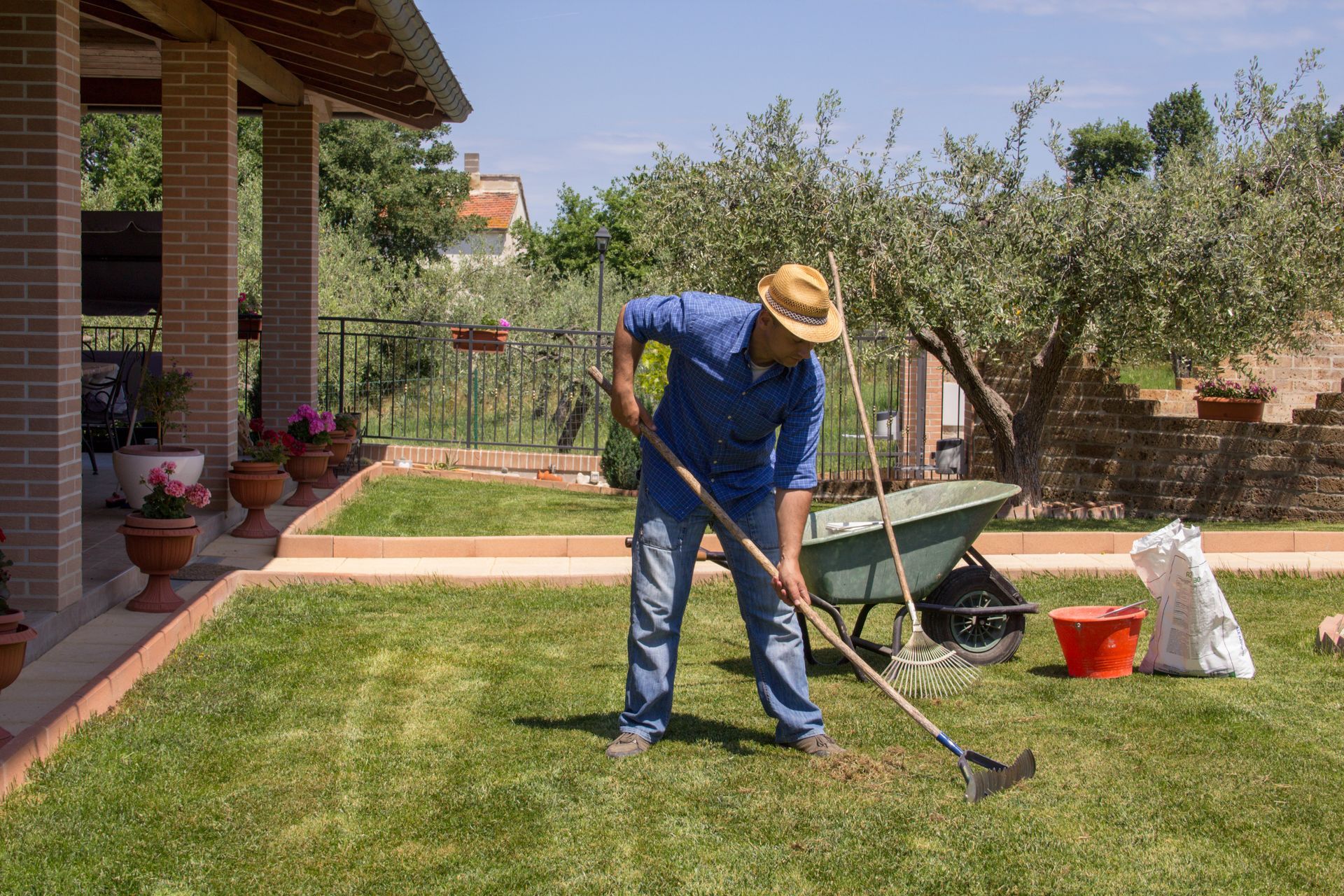 A man is collecting dead grass from the lawn. A man is collecting dead grass from the lawn.