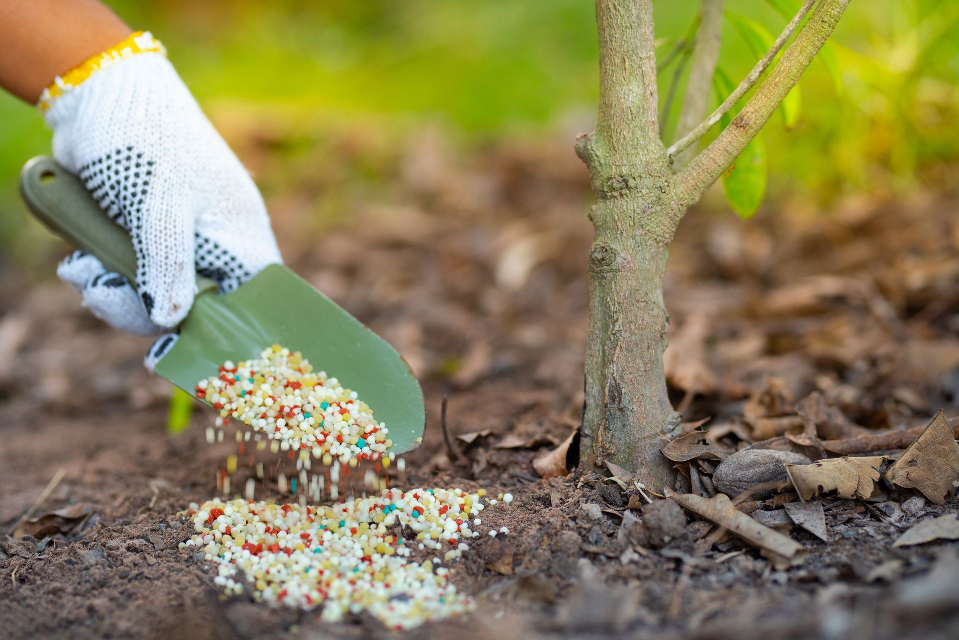 Gloved hand using a trowel to apply granular fertilizer around the base of a young tree in a garden bed.