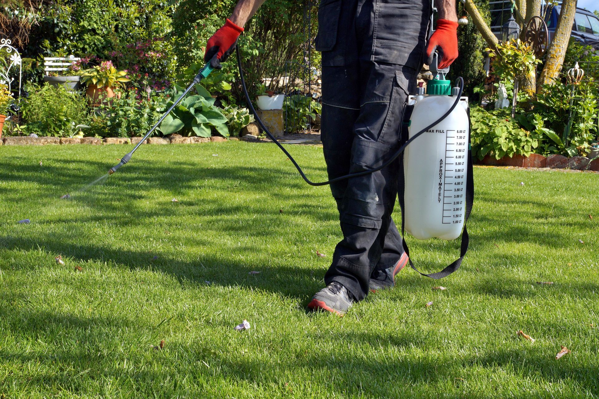 Person spraying lawn with a white tank and red gloves. Green grass and foliage in the background.
