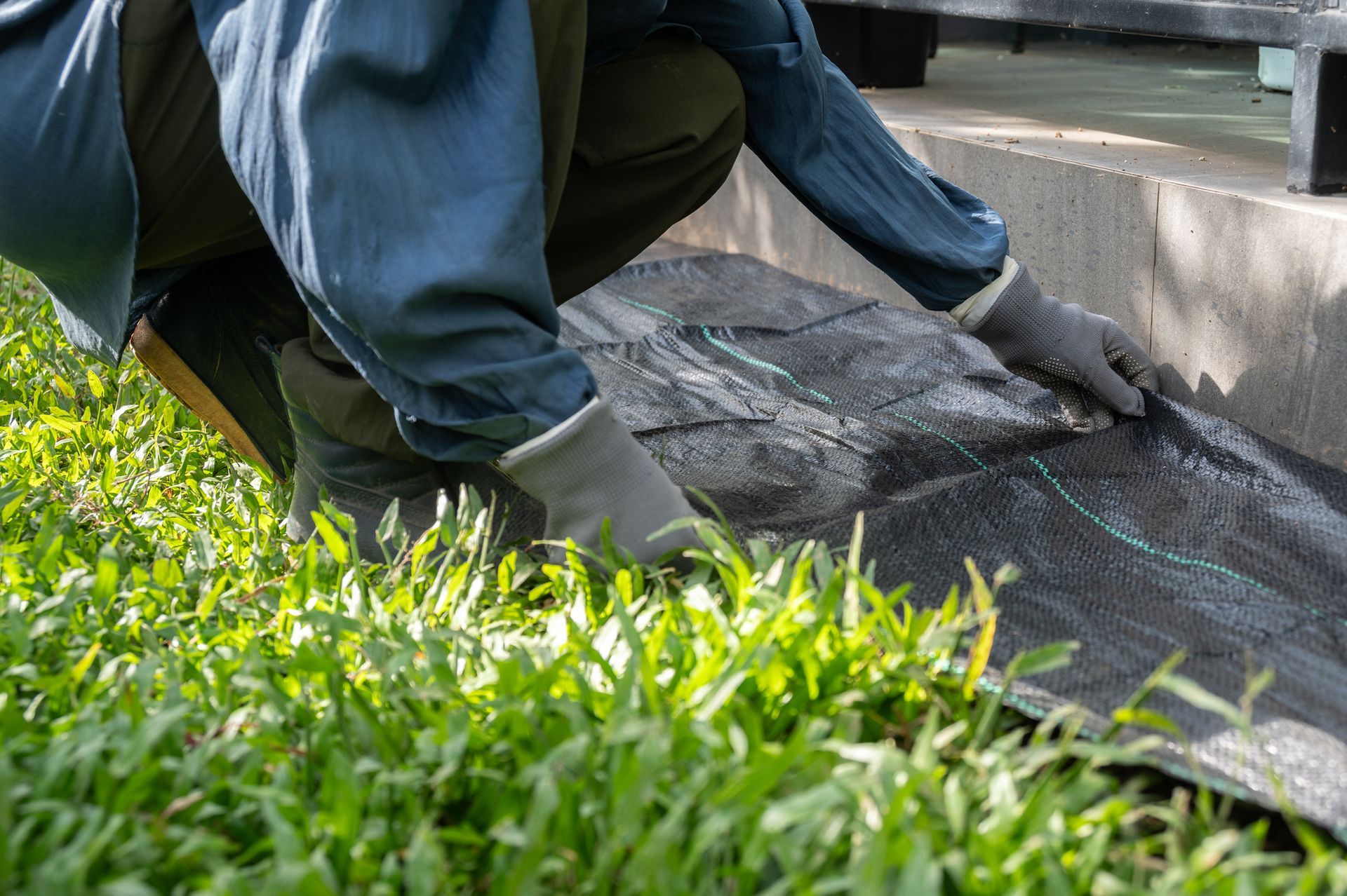 Gardener using black plastic sheeting to prevent weed growth in covered soil.