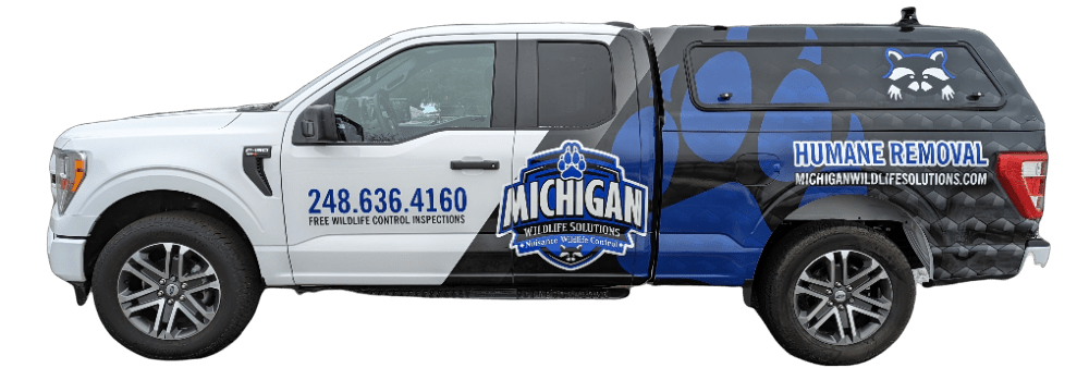 Michigan Wildlife Solutions - A white and blue truck with the word Michigan on the side.