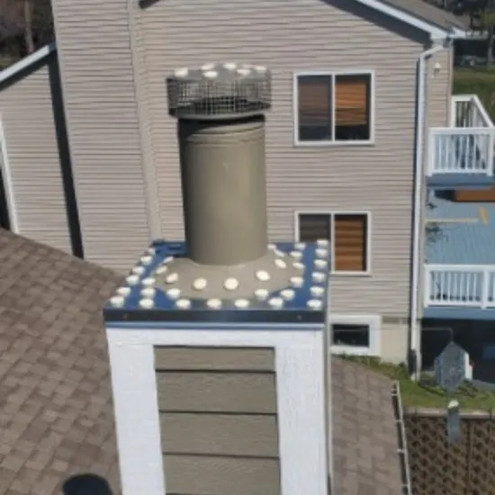 Michigan Wildlife Solutions - An aerial view of a house with a chimney on the roof