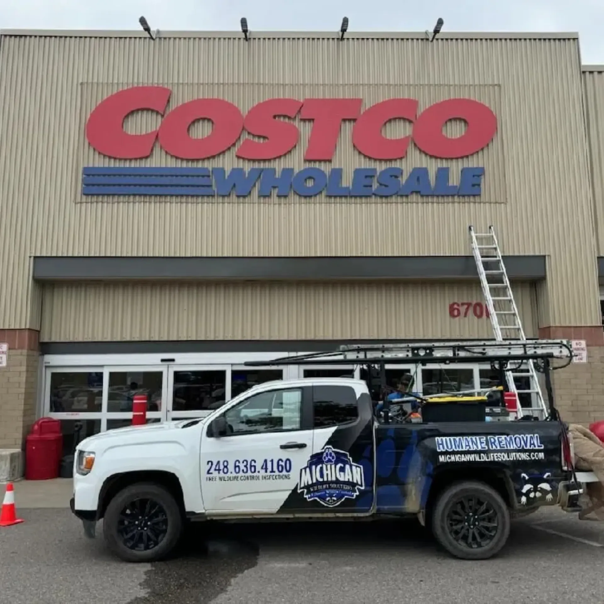 Michigan Wildlife Solutions - A costco wholesale truck is parked in front of the storeMichigan Wildlife Solutions -