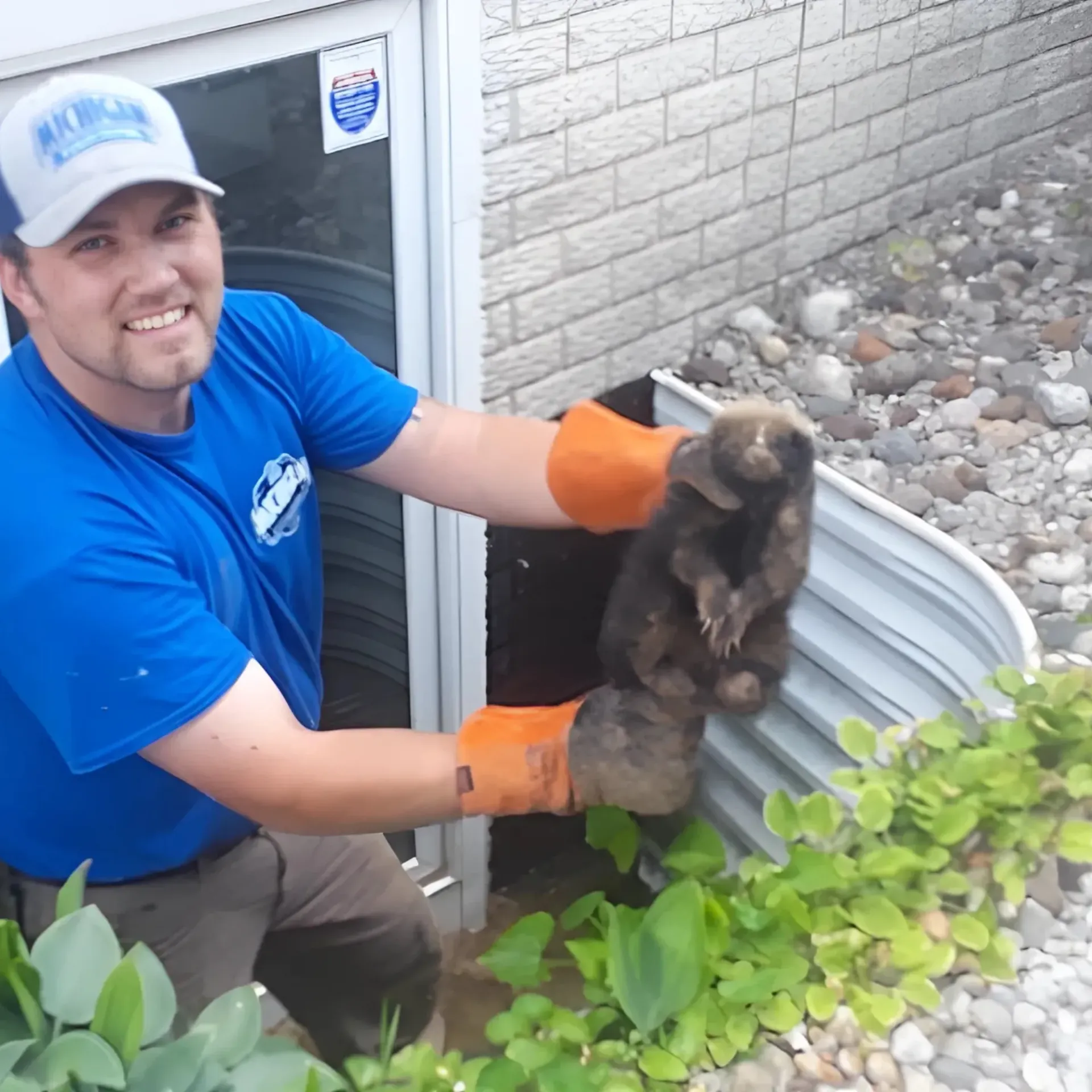 Michigan Wildlife Solutions - A man in a blue shirt is holding a small animalMichigan Wildlife Solutions -