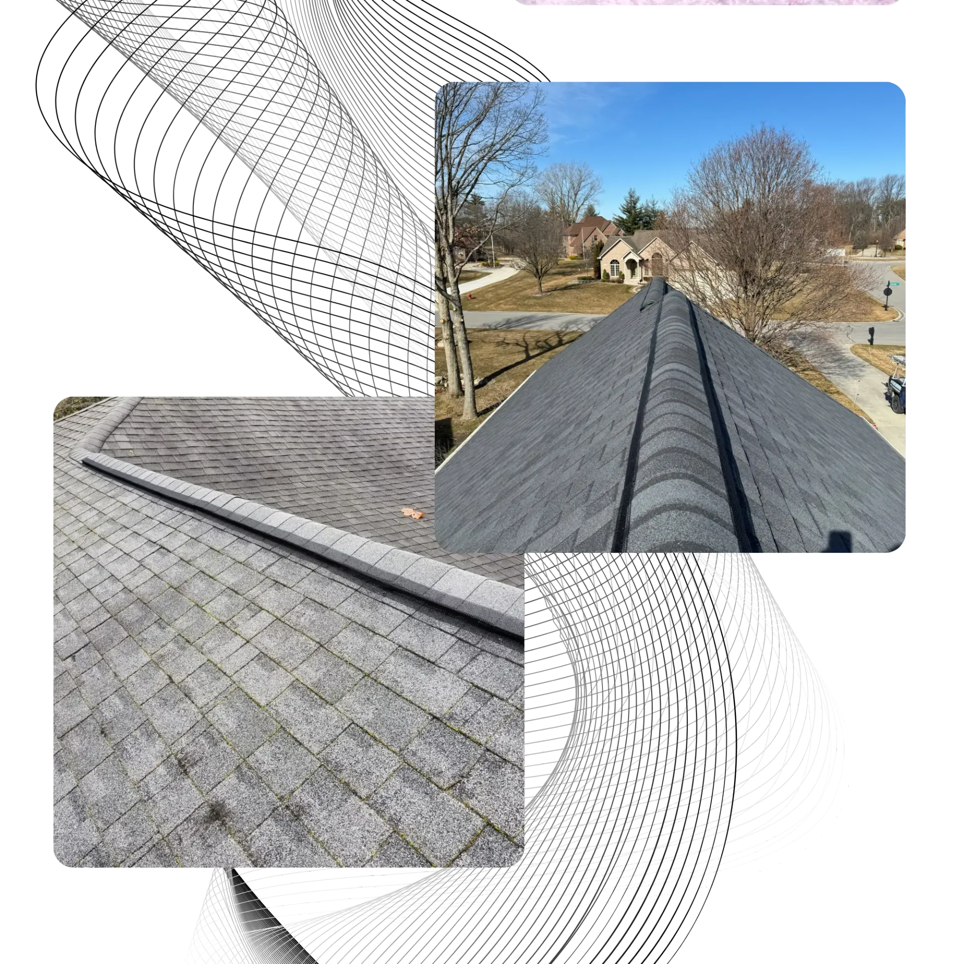 Michigan Wildlife Solutions - A collage of pictures of a roof with trees in the background