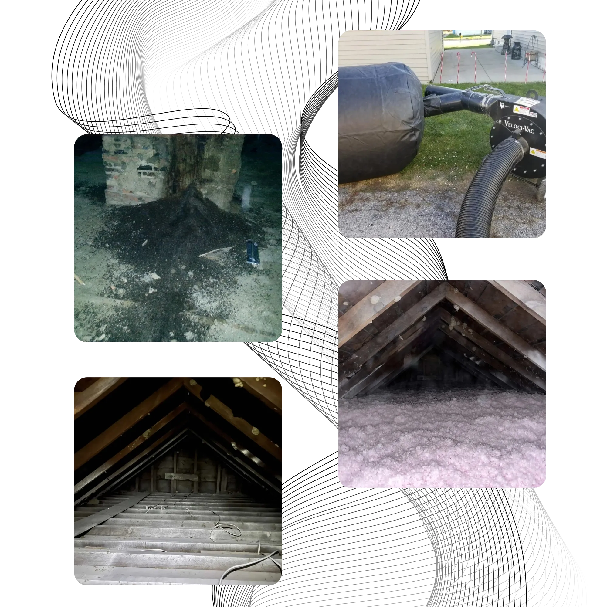 Michigan Wildlife Solutions - A collage of pictures showing different types of attic insulation