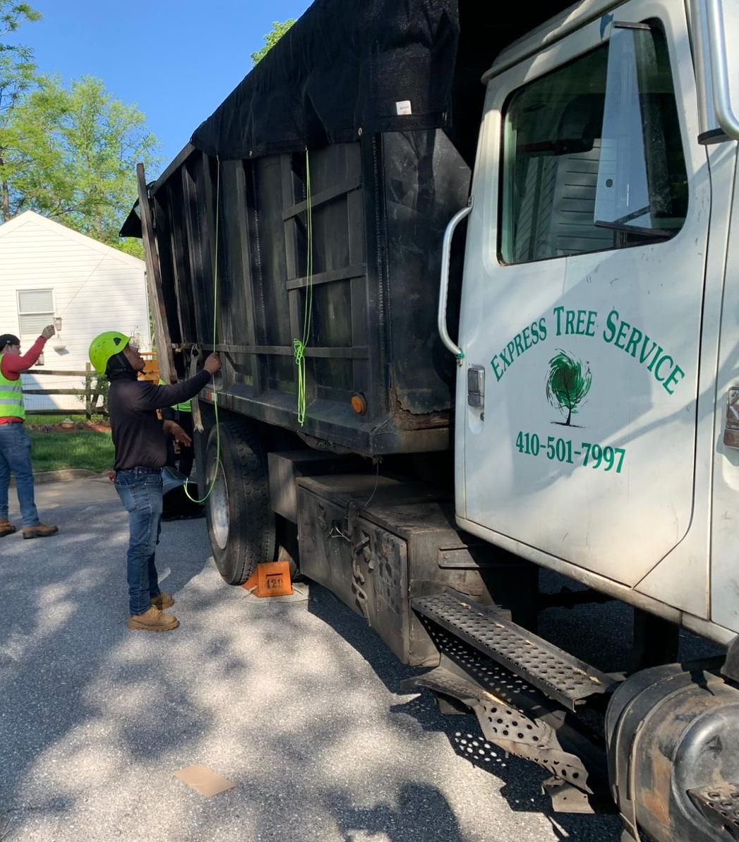 EXPRESS TREE SERVICES 410-501-7997